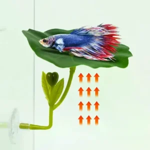 1 Pc Green Leaf Hammock For Betta Fish Stress-Reducing Aquarium-Safe Decor With Suction Cup For Fish Tank Fake Plants Decoration Bangladesh (New)