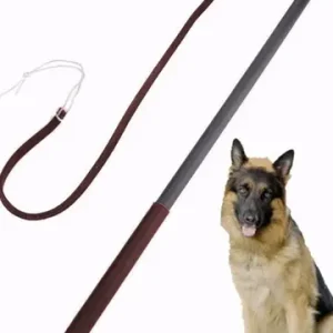 "Powerful and durable" dog whip anti-slip handle pet behavior correction training whip Bangladesh (New)