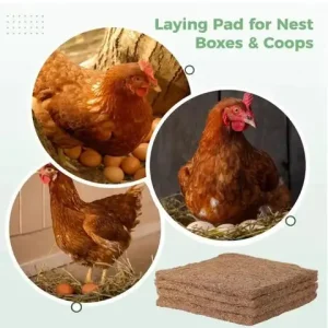 【W】1 Piece Reusable Hens Bedding Mats For Egg Laying Eco-Friendly Coconut Fiber Chicken Nesting Pads Poultry Coop Nesting Pads Bangladesh (New)