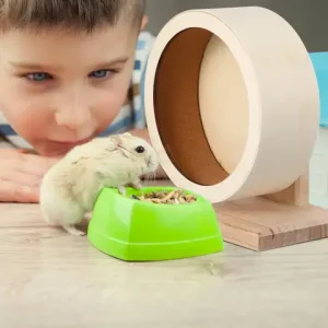 Wooden Non Run Disc Exercise Wheel Size S for Hamsters Hedgehogs Small Pets Healthy Training Pet Exercise Wheel Bangladesh (New)