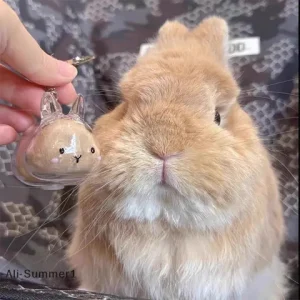 【E】Rabbit Hair Storage Box Pendant Keychain Pet Hair Keepsake Box Pet Memorial Collection Box Bag Pendant DIY Decoration Gift Bangladesh (New)