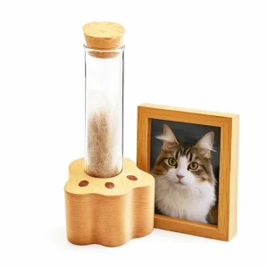 Wooden Base Cat Hair Holder Paw Shape Transparent Pet Memorial Gift Durable Compact Size Cat Hair Jar Pet Lovers Bangladesh (New)